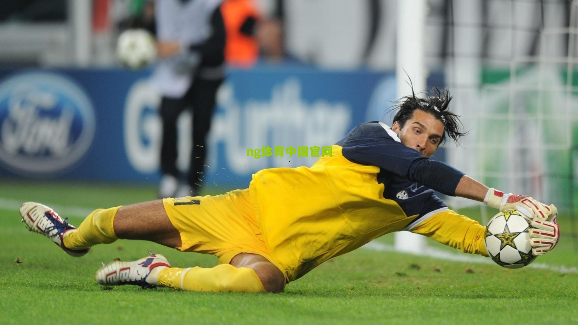 ng体育网页版|金色曙光再现！托雷斯一锤定音，西班牙力克德国挺进欧洲杯四强