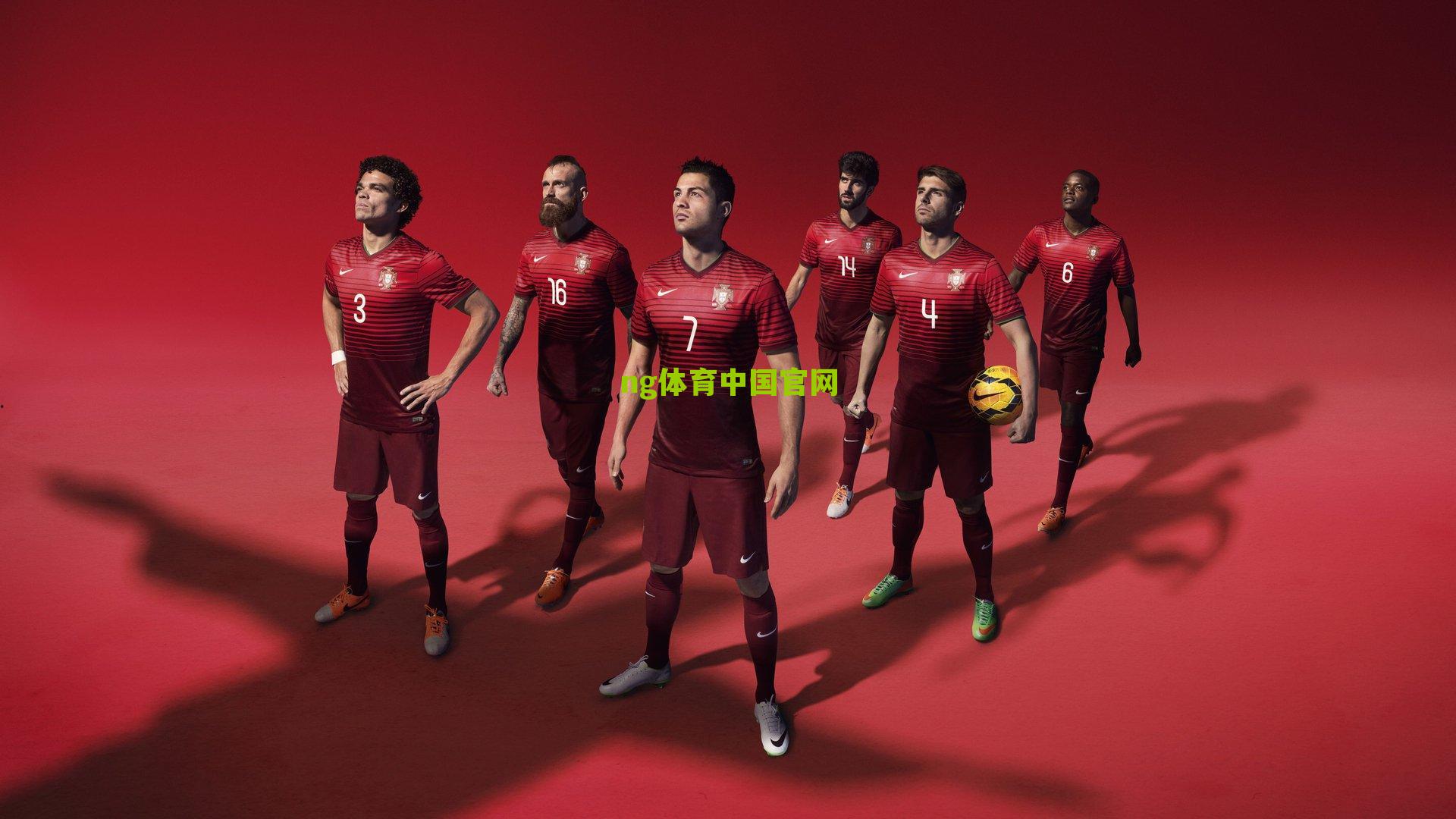 ng体育app：雄鹿官方宣布字母哥膝盖疼痛 将缺席未来两场关键赛事