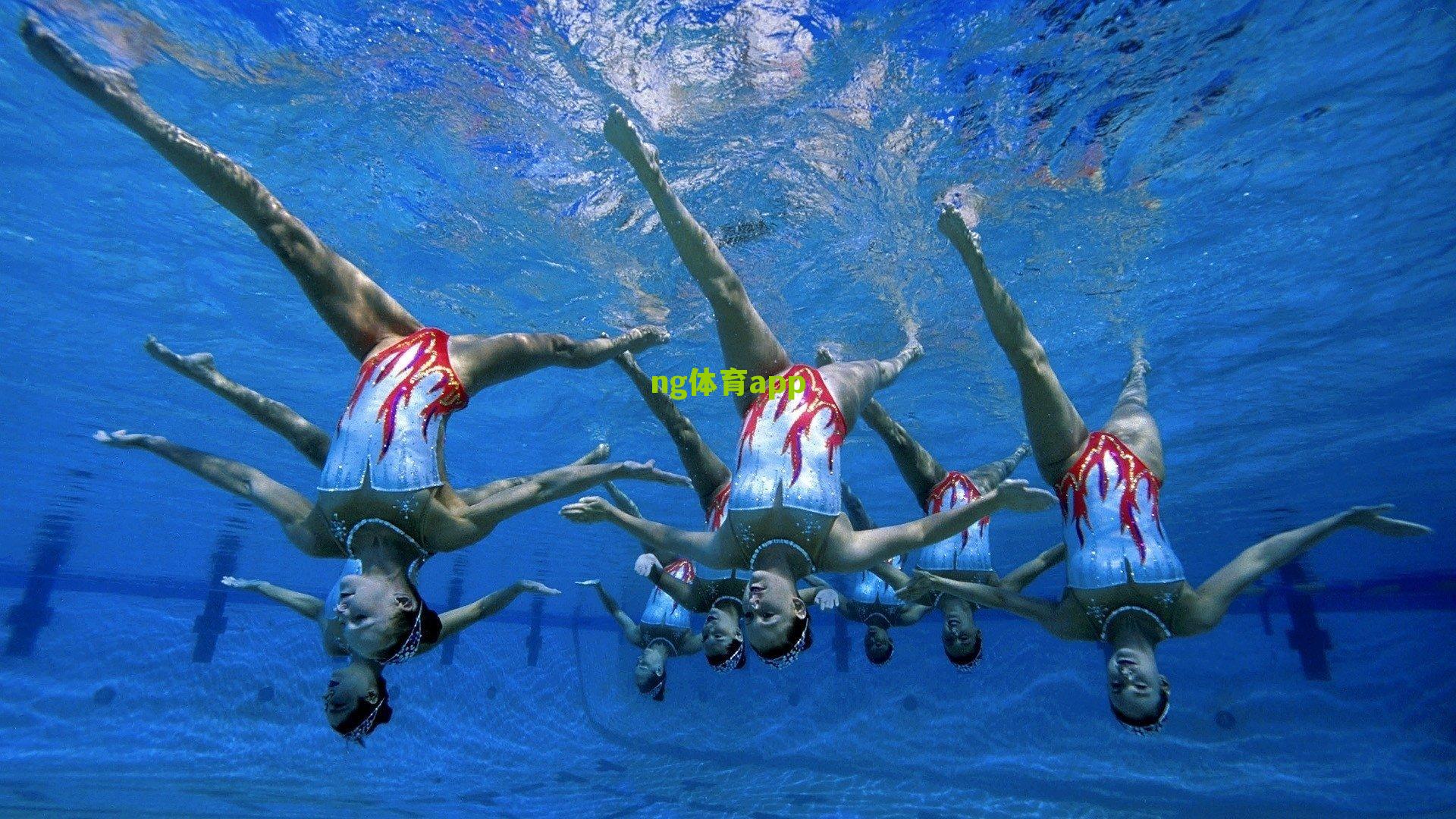 ng体育：国米高层再获国际认可！马洛塔入选欧洲俱乐部协会执委，意甲声音强化欧洲足球决策层